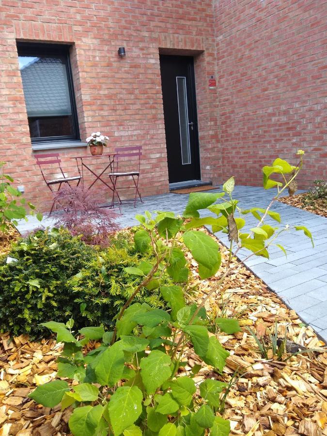 Camphin-en-Pevele Les Agapanthes Bed & Breakfast エクステリア 写真